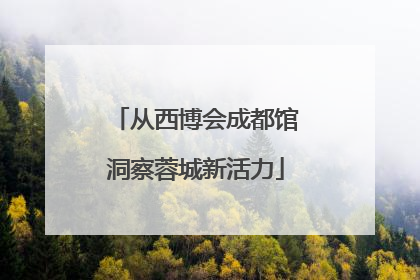 从西博会成都馆洞察蓉城新活力