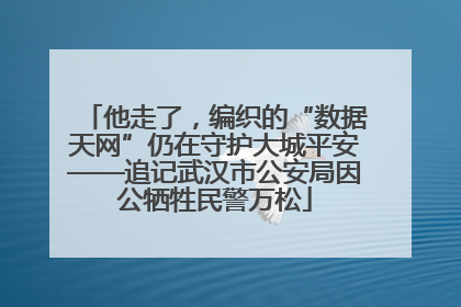 他走了，编织的“数据天网”仍在守护大城平安——追记武汉市公安局因公牺牲民警万松