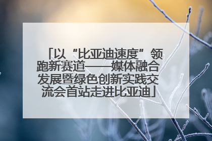 以“比亚迪速度”领跑新赛道——媒体融合发展暨绿色创新实践交流会首站走进比亚迪
