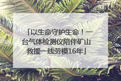 以生命守护生命！一台气体检测仪陪伴矿山救援一线劳模16年