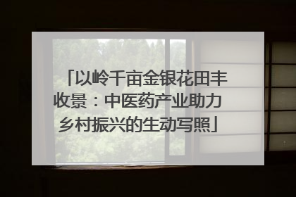 以岭千亩金银花田丰收景：中医药产业助力乡村振兴的生动写照