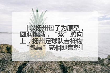 以扬州包子为原型，圆润饱满，“蒸”腾向上，扬州足球队吉祥物“包赢”亮相即售罄