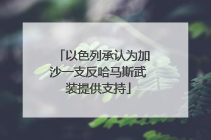 以色列承认为加沙一支反哈马斯武装提供支持