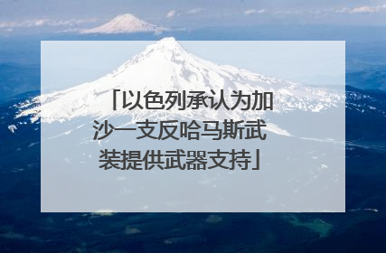 以色列承认为加沙一支反哈马斯武装提供武器支持