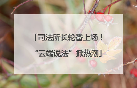 司法所长轮番上场！“云端说法”掀热潮