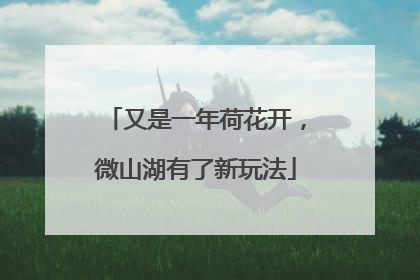 又是一年荷花开，微山湖有了新玩法