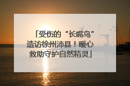 受伤的“长嘴鸟”造访徐州沛县！暖心救助守护自然精灵
