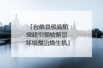 台前县侯庙镇：党建引领绘新景 环境整治焕生机