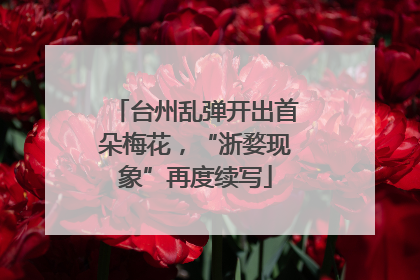 台州乱弹开出首朵梅花，“浙婺现象”再度续写