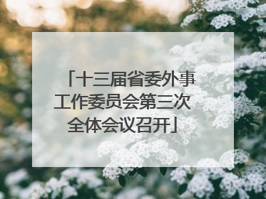 十三届省委外事工作委员会第三次全体会议召开