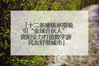 十二条硬核举措吸引“全球合伙人” 资阳全力打造数字游民友好型城市