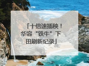 十倍速插秧！华容“铁牛”下田刷新纪录