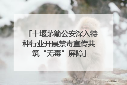 十堰茅箭公安深入特种行业开展禁毒宣传共筑“无毒”屏障