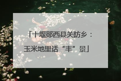 十堰郧西县关防乡：玉米地里话“丰”景