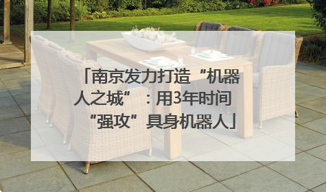 南京发力打造“机器人之城”：用3年时间“强攻”具身机器人