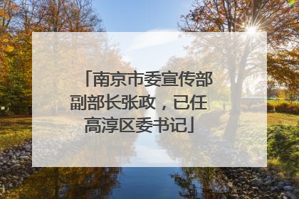 南京市委宣传部副部长张政，已任高淳区委书记