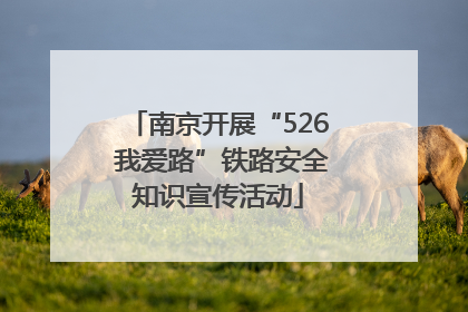 南京开展“526 我爱路”铁路安全知识宣传活动