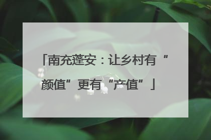 南充蓬安：让乡村有“颜值”更有“产值”