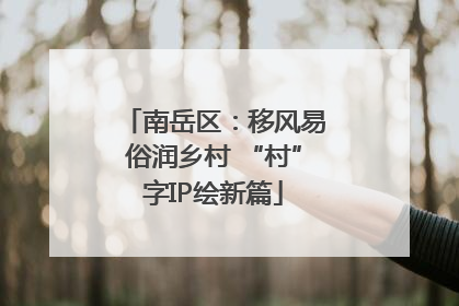南岳区：移风易俗润乡村 “村”字IP绘新篇
