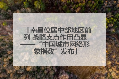 南昌位居中部地区前列 战略支点作用凸显——“中国城市网络形象指数”发布