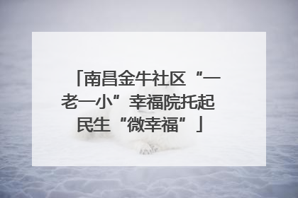 南昌金牛社区“一老一小”幸福院托起民生“微幸福”
