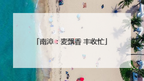 南漳：麦飘香 丰收忙