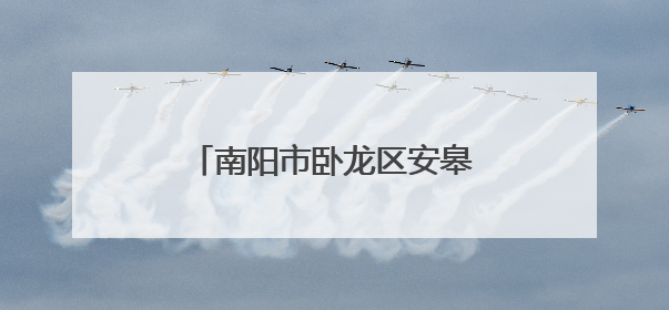 南阳市卧龙区安皋镇：以行动排查水域 用责任守护安全