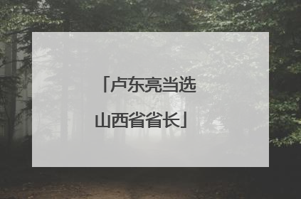 卢东亮当选山西省省长