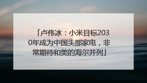 卢伟冰：小米目标2030年成为中国头部家电，非常期待和美的海尔并列