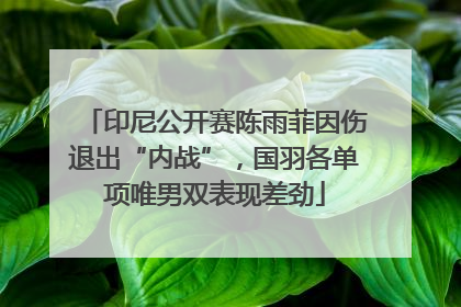 印尼公开赛陈雨菲因伤退出“内战”，国羽各单项唯男双表现差劲