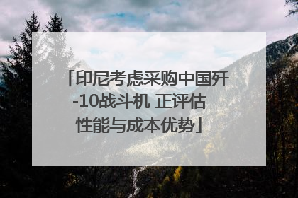 印尼考虑采购中国歼-10战斗机 正评估性能与成本优势