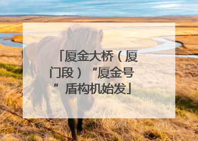 厦金大桥（厦门段）“厦金号”盾构机始发