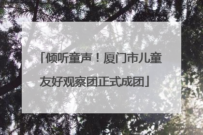 倾听童声！厦门市儿童友好观察团正式成团