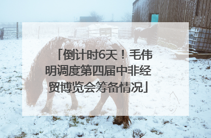 倒计时6天！毛伟明调度第四届中非经贸博览会筹备情况