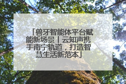兽牙智能体平台赋能新场景丨云知声携手南宁轨道，打造智慧生活新范本
