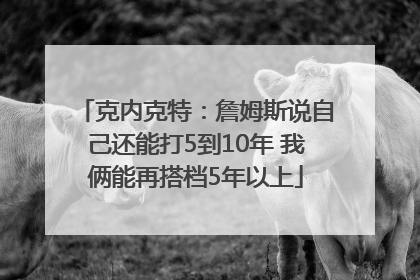 克内克特：詹姆斯说自己还能打5到10年 我俩能再搭档5年以上