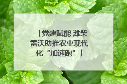 党建赋能 潍柴雷沃助推农业现代化“加速跑”