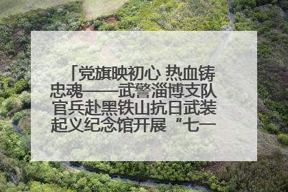 党旗映初心 热血铸忠魂——武警淄博支队官兵赴黑铁山抗日武装起义纪念馆开展“七一”主题党日活动