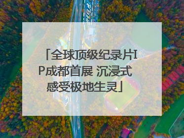 全球顶级纪录片IP成都首展 沉浸式感受极地生灵