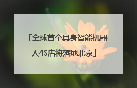 全球首个具身智能机器人4S店将落地北京