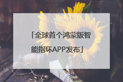 全球首个鸿蒙版智能指环APP发布