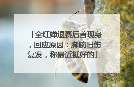 全红婵退赛后首现身，回应原因：脚腕旧伤复发，称最近挺好的