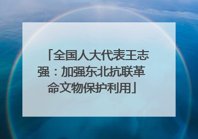 全国人大代表王志强：加强东北抗联革命文物保护利用