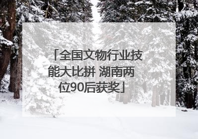 全国文物行业技能大比拼 湖南两位90后获奖