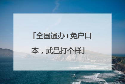 全国通办+免户口本，武昌打个样