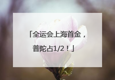 全运会上海首金，普陀占1/2！