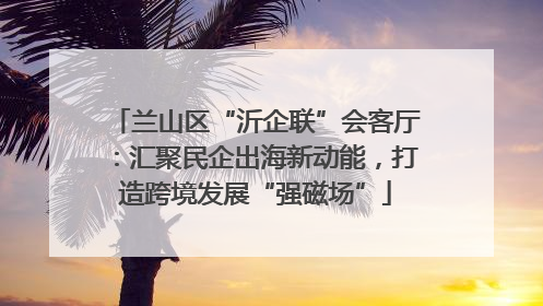 兰山区“沂企联”会客厅：汇聚民企出海新动能，打造跨境发展“强磁场”