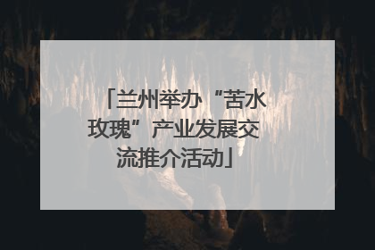 兰州举办“苦水玫瑰”产业发展交流推介活动