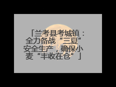 兰考县考城镇：全力备战“三夏”安全生产，确保小麦“丰收在仓”