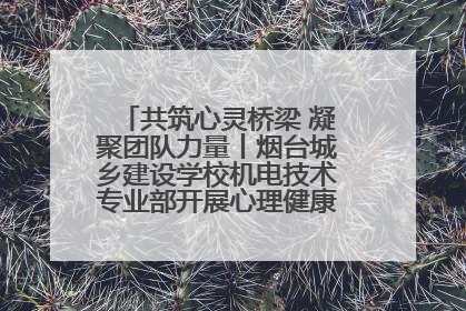 共筑心灵桥梁 凝聚团队力量丨烟台城乡建设学校机电技术专业部开展心理健康讲座及团辅活动